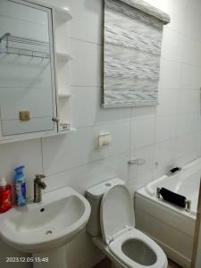 哈科特港UCLAS Gorgeous Apartment的一间带卫生间、水槽和镜子的浴室