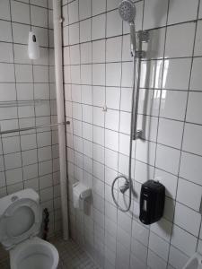 杜阿拉Partners Residence的带淋浴和卫生间的浴室