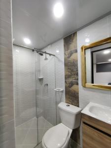 麦德林Apartahotel Sevilla的带淋浴、卫生间和盥洗盆的浴室