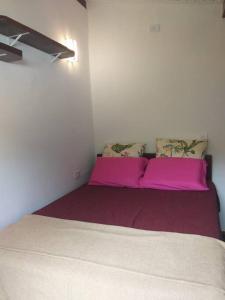 博西坎加Chalé Praia de Boiçucanga的配有粉红色床单和枕头的宿舍间内的一张床位