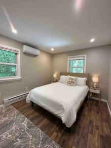 东斯特劳兹堡Beautiful Privt Backyard-Spacious-Game Room-BBQ的卧室配有白色的床和2扇窗户。
