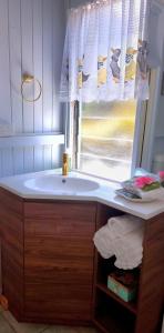 凯恩斯JDs Tropical stays的一间带水槽和窗户的浴室