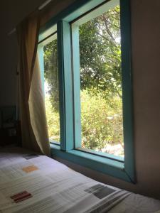 普腊亚罗萨Paikea Hostel Praia do Rosa的卧室设有窗户、一张床和一棵树