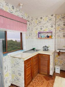 圣克里斯托瓦尔Moonlight, Galápagos的厨房配有水槽和墙上写字台。