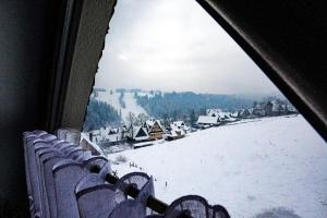 苏凯Apartamenty u Trebuniów的从窗户可欣赏到积雪覆盖的村庄景色
