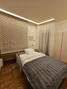 拉里萨Elektras Apartment στο κέντρο της Λάρισας με δωρεάν πάρκιγκ的一间卧室设有一张床和一面墙
