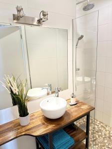 马赛Appart design, plein centre Marseille的浴室配有白色水槽和淋浴。