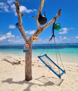 丹格迪Amore Apartment, Maldives的海滩上的一棵树,带秋千