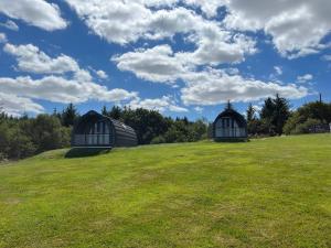 卡迪夫Warren Farm Retreat - Pod 1, Pod 2, and The Lodge by SSW的蓝天的草山上的两个圆顶