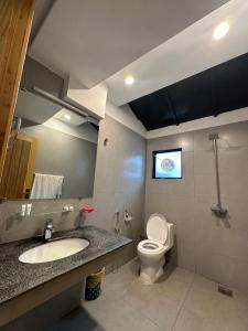 伊斯兰堡The Garden Hotel的一间带卫生间、水槽和镜子的浴室