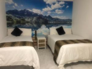 索韦托MajaK Guesthouse的湖景客房 - 带两张床
