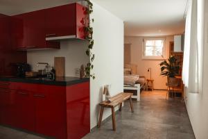 Malans梅耶尔许斯利住宿加早餐旅馆的一间厨房,里面配有红色橱柜和长凳