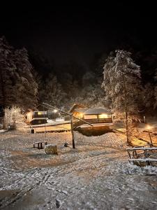 Albeștii de MuscelSatu Muscelean的直升机在夜间停在雪地里