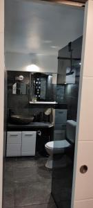 萨格勒布Apartman Maksimir Rebro Jordanovac Luka的一间带水槽和卫生间的浴室