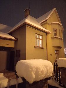 捷克克鲁姆洛夫Villa Oliva的房子前面的雪覆盖的房子
