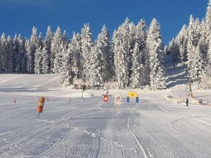WenigzellPANORAMA SportHOTEL的雪覆盖的滑雪场 覆盖的树木