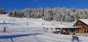 WenigzellPANORAMA SportHOTEL的一群人沿着雪覆盖的斜坡滑雪