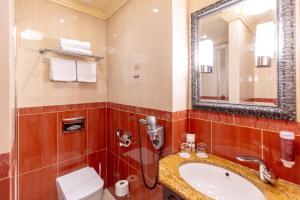 捷克布杰约维采望大酒店的一间带水槽、镜子和卫生间的浴室