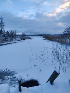 图尔库Cottage by the sea的冰冻池塘,地面上积雪
