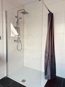 鲁斯特Apartments Maxim的浴室内配有淋浴帘。
