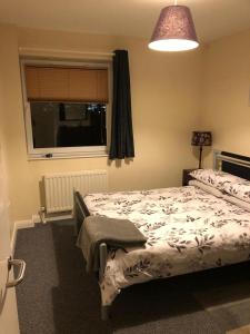 贝尔法斯特Comfortable Belfast city centre apartment的一间卧室设有一张床和一个窗口
