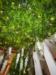 圣加蒂安代布瓦Maria Grazia Hotel的花瓶里满是白植物,有灯