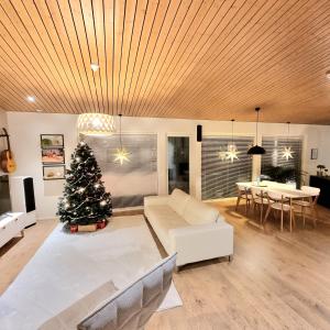 罗瓦涅米Gorgeous Arctic Lodge的客厅配有圣诞树和沙发