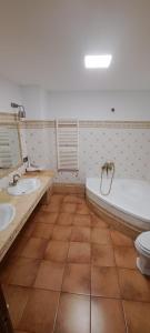 哈恩CASITA ROCIO的一间带两个盥洗盆、浴缸和卫生间的浴室
