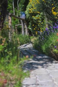 波特雷里约斯El Carmelo Mountain Lodge的一条种满鲜花和木栅的花园小径