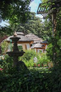 波特雷里约斯El Carmelo Mountain Lodge的一座花园,在一座建筑前方有一个喷泉