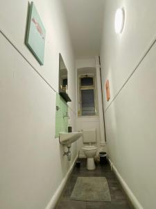 威斯巴登Modernisierte, traumhafte Wohnung in zentraler Lage的一间带水槽和卫生间的小浴室