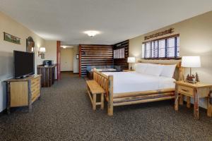 莫林Stoney Creek Hotel Moline的一间卧室配有一张大床和电视
