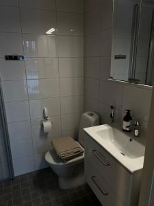 万塔Helsinki Airport Apartment的一间带水槽、卫生间和镜子的浴室