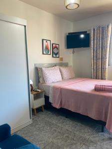 弗洛里亚诺波利斯Apartamento cachoeira的一间卧室配有一张带粉色床单和镜子的床