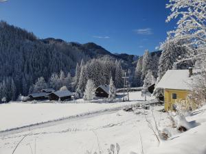 费拉赫Alpenloft Theresia的一座被雪覆盖的村庄,有黄色的房屋和树木