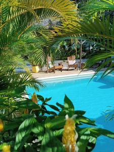 拉斯彭尼塔斯Cabañas Puesta del Sol的前方的蓝色游泳池,种植了棕榈树