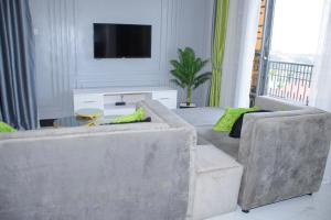 坎帕拉Cozy Oasis的客厅配有两张沙发和一台电视机