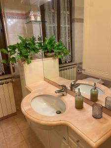 斯佩洛CASA VACANZE Da Mario Lu Ciclista的浴室设有水槽、镜子和两株植物
