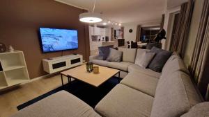 特罗姆瑟A Modern Home in Nature's Embrace的带沙发和电视的客厅