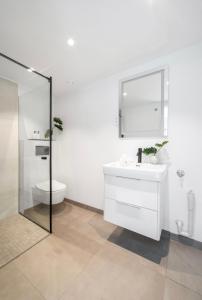 奥斯陆Apartment in Greenland, Oslo的一间带卫生间、水槽和镜子的浴室