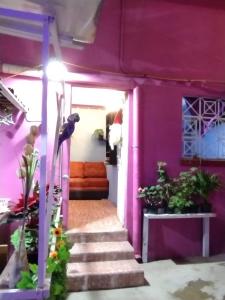墨西哥城Alo México的紫色的房子,里面种有楼梯和植物