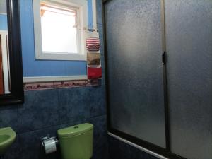 安库德EL URCO CHILOE HOSTEL的一间带绿色卫生间的浴室和窗户。