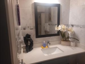 温莎WaterfrontHome-RiverView, Windsor ,Canada的浴室水槽,配有镜子和花瓶