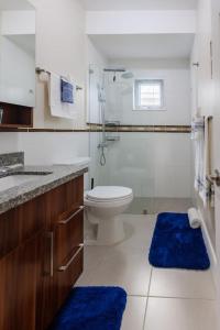 卢西Welcome to our Ocean View Villa!的一间带卫生间和蓝色地毯的浴室