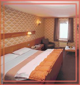 帕苏·斯泰尔维奥帕苏斯泰尔维奥酒店的一间卧室,卧室内配有一张大床