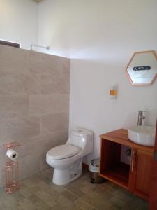 El Castillo de la FortunaVulkan Arenal Amazing View Lodge 4 WD的浴室配有白色卫生间和盥洗盆。