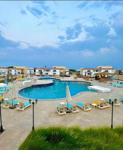 达哈布Babushka Boutique Hotel-Dahab的度假村内带椅子和遮阳伞的游泳池