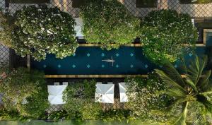 努沙杜瓦巴厘岛努沙杜阿海滩Spa酒店的树木和植物围栏的顶部景色