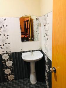 锡吉里亚Sigiri Sunanda Home Stay的一间带水槽和镜子的浴室