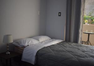 卢那欢纳El Valle Lunahuaná的卧室配有带枕头的床铺和窗户。